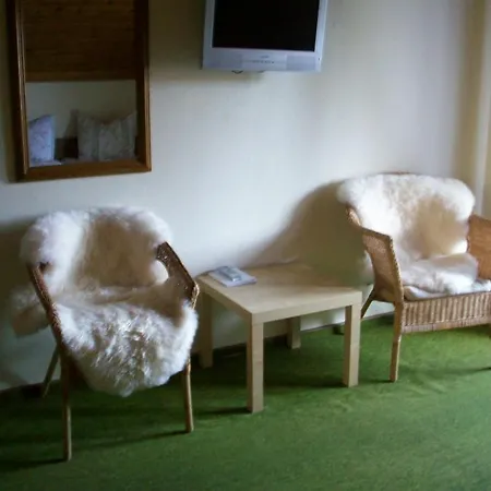 Zum Fliegenden Hollander Pensión Zwiesel