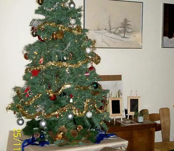 Zum Fliegenden Hollander 2* Zwiesel